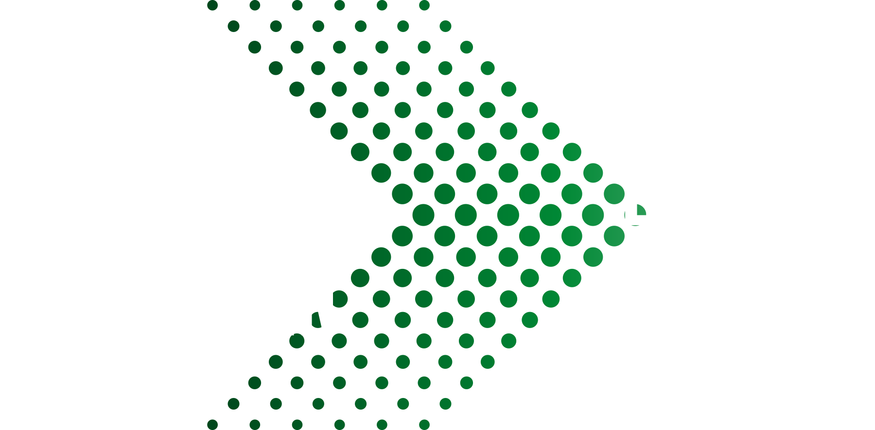 Estadio